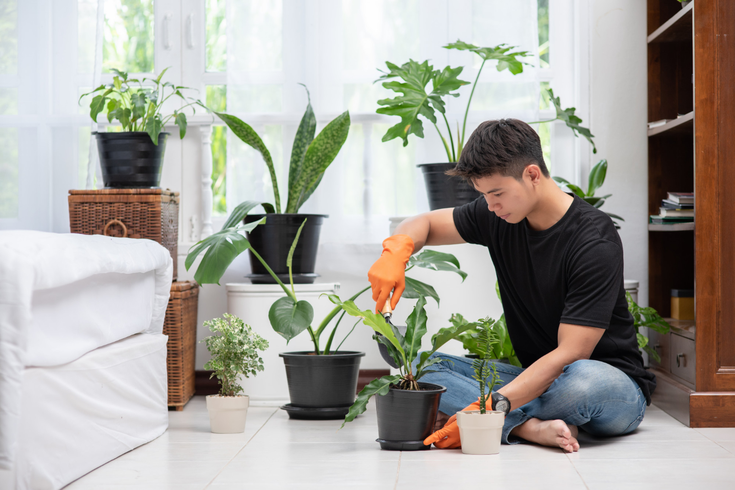 Fertilizer